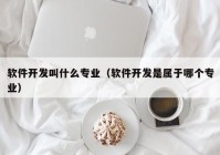 软件开发叫什么专业（软件开发是属于哪个专业）