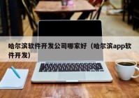 哈尔滨软件开发公司哪家好（哈尔滨app软件开发）