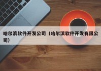 哈尔滨软件开发公司（哈尔滨软件开发有限公司）