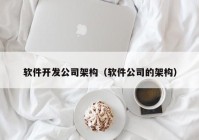 软件开发公司架构（软件公司的架构）