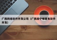 广西网络软件开发公司（广西南宁哪里有软件开发）