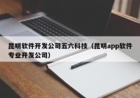 昆明软件开发公司五六科技（昆明app软件专业开发公司）