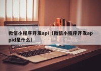 微信小程序开发api（微信小程序开发appid是什么）