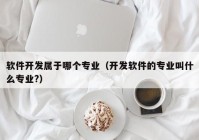 软件开发属于哪个专业（开发软件的专业叫什么专业?）