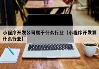 小程序开发公司属于什么行业（小程序开发算什么行业）