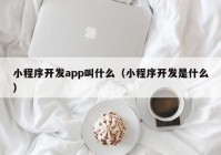 小程序开发app叫什么（小程序开发是什么）