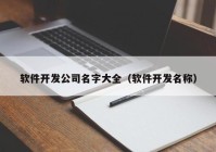 软件开发公司名字大全（软件开发名称）