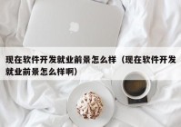 现在软件开发就业前景怎么样（现在软件开发就业前景怎么样啊）