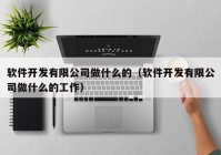 软件开发有限公司做什么的（软件开发有限公司做什么的工作）