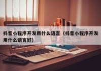 抖音小程序开发用什么语言（抖音小程序开发用什么语言好）