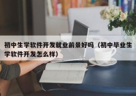 初中生学软件开发就业前景好吗（初中毕业生学软件开发怎么样）