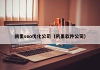 凯里seo优化公司（凯里软件公司）