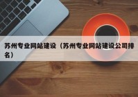 苏州专业网站建设（苏州专业网站建设公司排名）