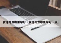 软件开发哪里学好（软件开发哪里学好一点）