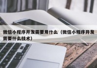 微信小程序开发需要用什么（微信小程序开发需要什么技术）