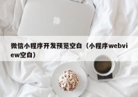 微信小程序开发预览空白（小程序webview空白）