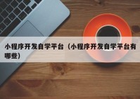 小程序开发自学平台（小程序开发自学平台有哪些）