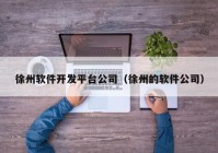 徐州软件开发平台公司（徐州的软件公司）