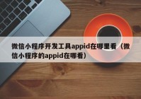 微信小程序开发工具appid在哪里看（微信小程序的appid在哪看）