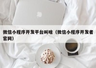 微信小程序开发平台叫啥（微信小程序开发者官网）