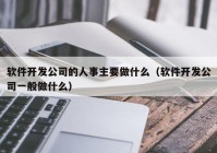 软件开发公司的人事主要做什么（软件开发公司一般做什么）