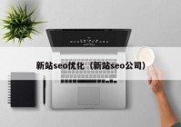 新站seo优化（新站seo公司）