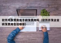 软件开发费用属于研发费用吗（软件开发企业研发费用包括哪些）