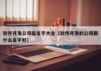 软件开发公司起名字大全（软件开发的公司取什么名字好）