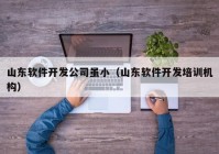 山东软件开发公司虽小（山东软件开发培训机构）